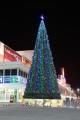 Уличные каркасные елки